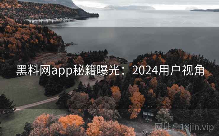 黑料网app秘籍曝光:2024用户视角 第1张 黑料网app秘籍曝光:2024用户视角 第1张