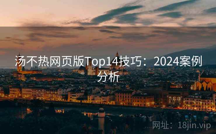 汤不热网页版Top14技巧：2024案例分析  第1张