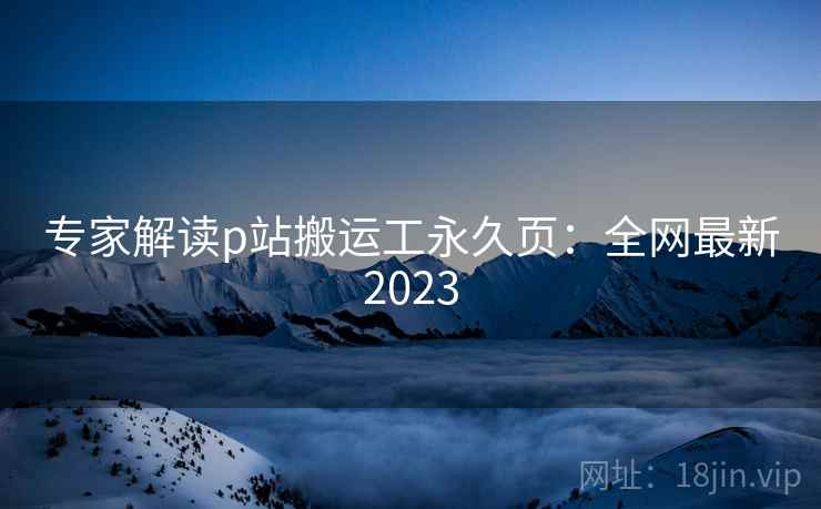 专家解读p站搬运工永久页：全网最新2023  第1张
