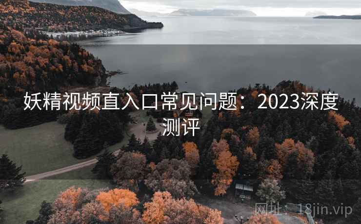妖精视频直入口常见问题：2023深度测评  第2张