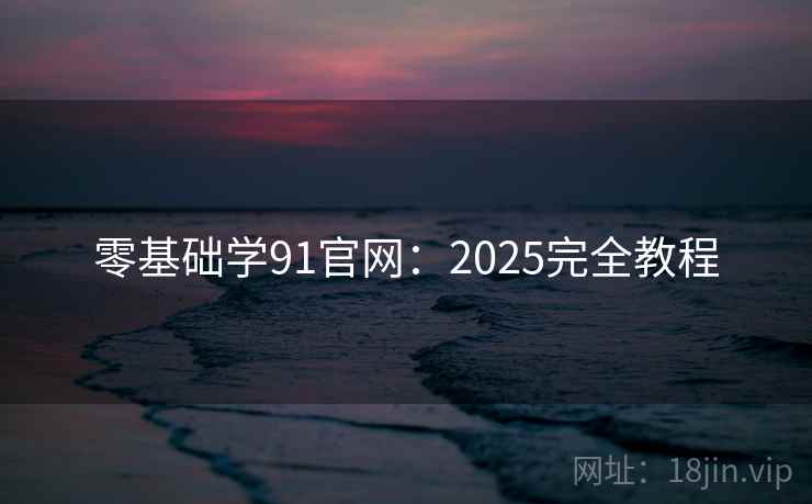 零基础学91官网：2025完全教程  第1张