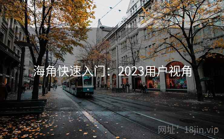 海角快速入门:2023用户视角 第2张 海角快速入门:2023用户视角 第2张