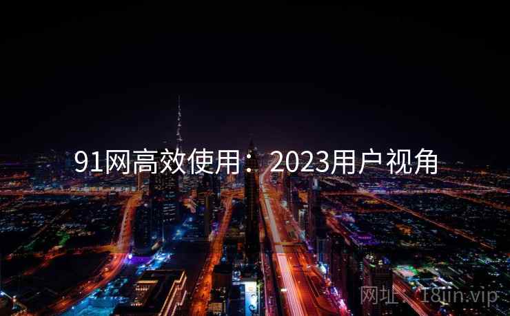 91网高效使用:2023用户视角 第2张 91网高效使用:2023用户视角 第2张