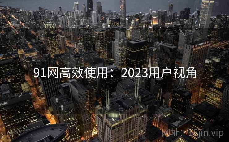 91网高效使用:2023用户视角 第1张 91网高效使用:2023用户视角 第1张