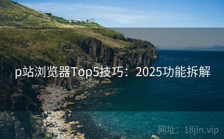 p站浏览器Top5技巧：2025功能拆解  第1张