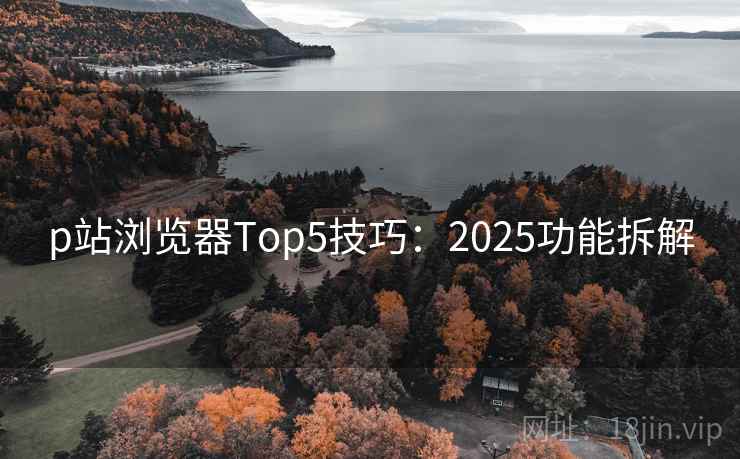 p站浏览器Top5技巧：2025功能拆解  第2张