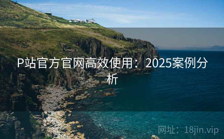 P站官方官网高效使用:2025案例分析 第2张 P站官方官网高效使用:2025案例分析 第2张