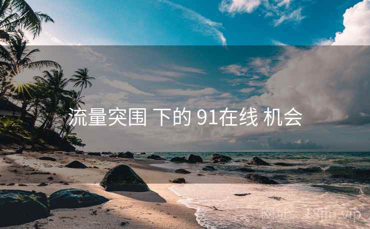 流量突围 下的 91在线 机会 第1张 流量突围 下的 91在线 机会 第1张