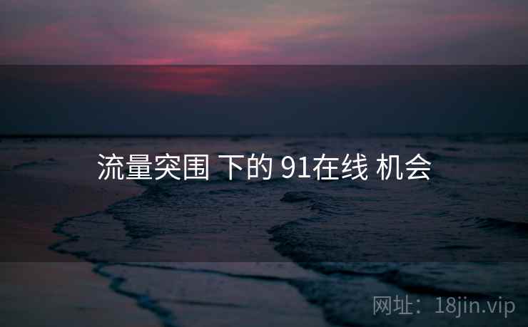 流量突围 下的 91在线 机会 第2张 流量突围 下的 91在线 机会 第2张