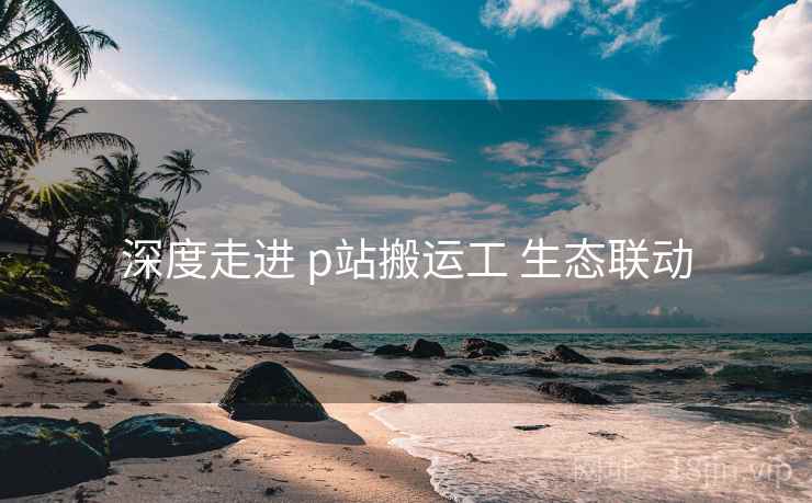 深度走进 p站搬运工 生态联动  第1张