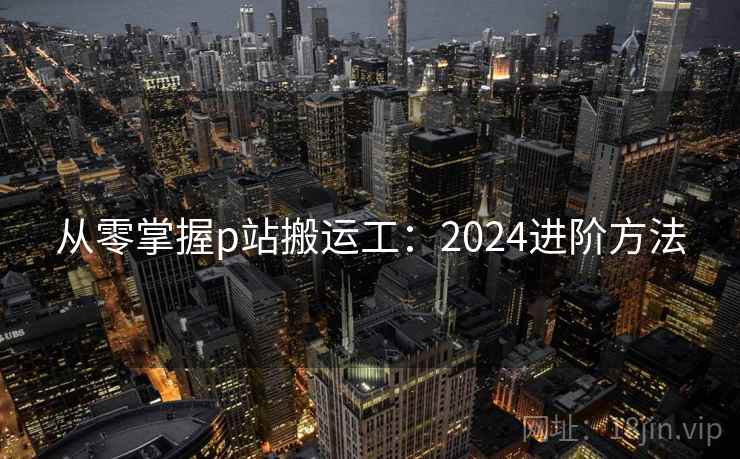 从零掌握p站搬运工：2024进阶方法  第1张