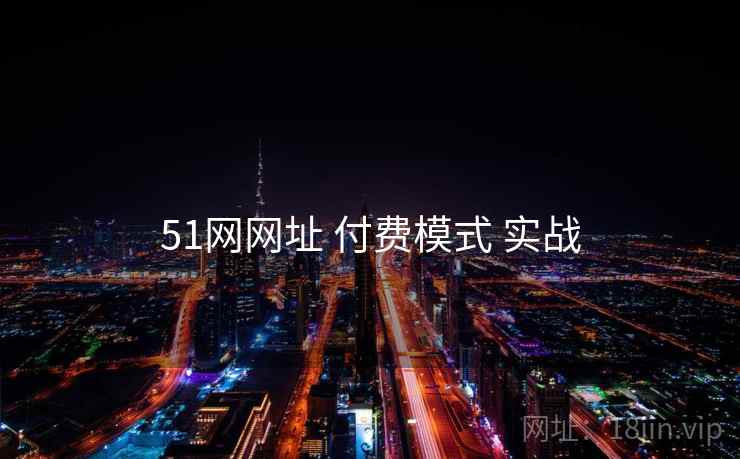 51网网址 付费模式 实战  第1张