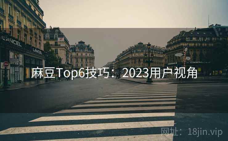麻豆Top6技巧：2023用户视角  第1张